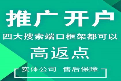 竞价代运营成功案例解析